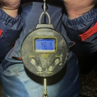 Reuben Heaton 7000 Series Digital Scales MK2
